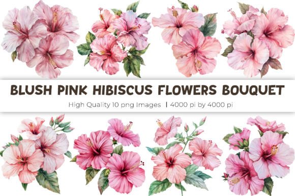Download Blush Pink Hibiscus Flowers Bouquet - Blush pink Collection
